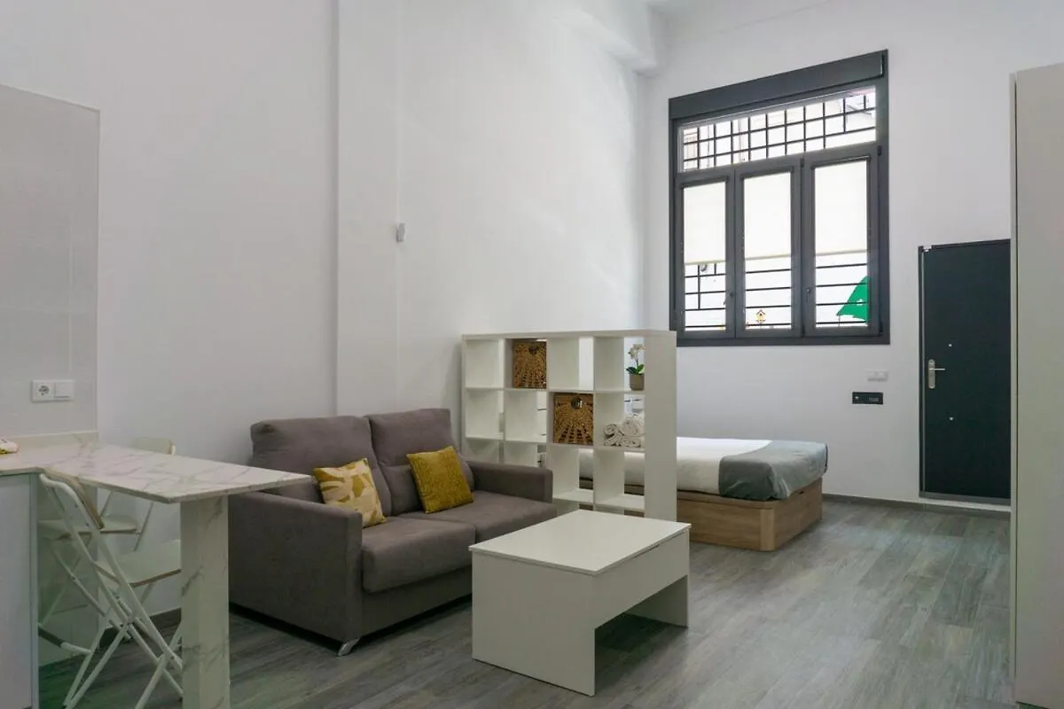 Center Soul Apartment Malaga 0*,